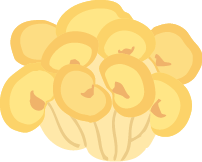たもぎたけ